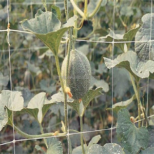 <strong>Cheap</strong> Price High Quality <strong>pp</strong> Cucumber Trellis <strong>Netting</strong> Tomato Climbing Net for Grow Tent Cucumber Tomato Pea Bean Growing - Product Image 2