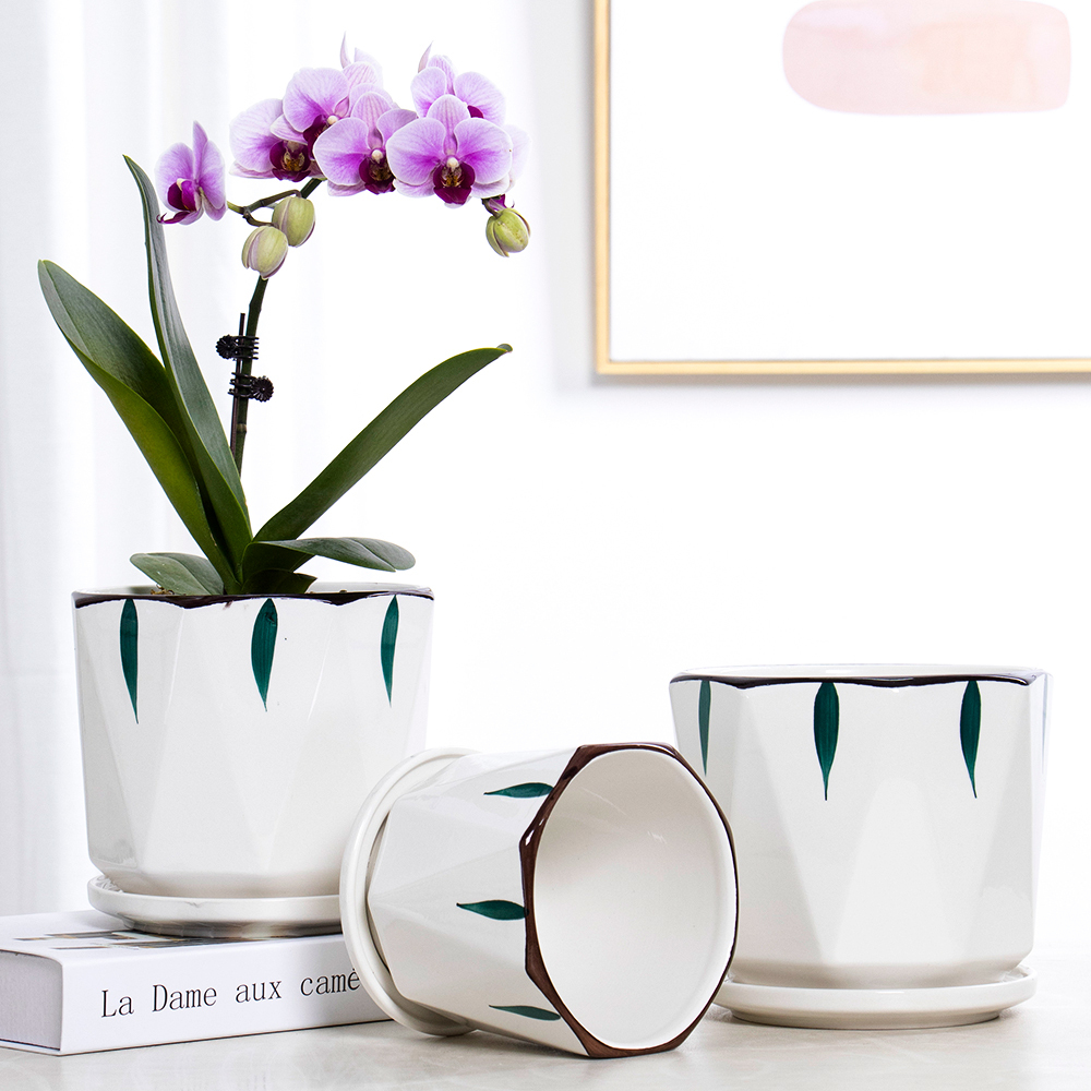 customize OEM succulent Modern Flower pot planting Garden Small Indoor ceramic Plant Pots