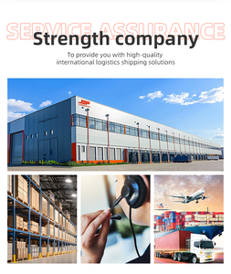 DDP DDU Shipping Agent for Full <strong>Container</strong> <strong>Load</strong> (FCL) From China to Germany Sea Freight Forwarder Cargo <strong>Service</strong> - Product Image 5