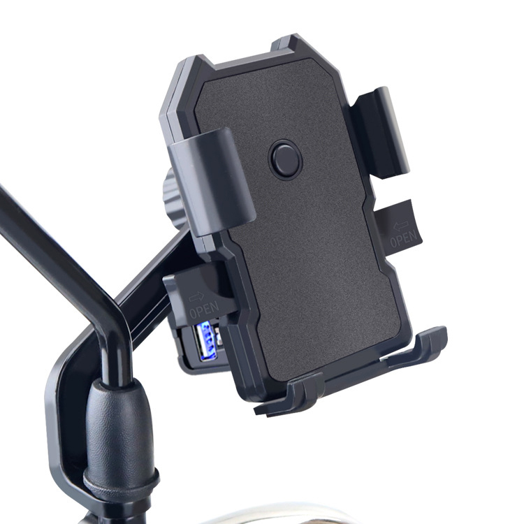 Mirror Mount with Charger
