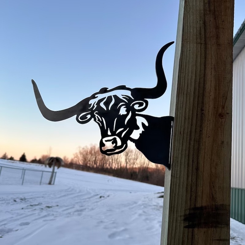 Vaca 4