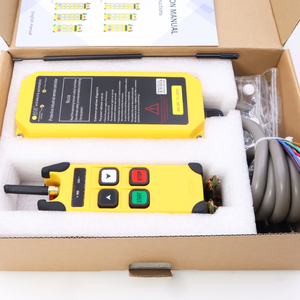 Alta qualità PA66 fibra elettrica paranco a catena a 2 canali singola velocità telecomando prezzo favorevole per uso industriale codice fisso - Product Image 6