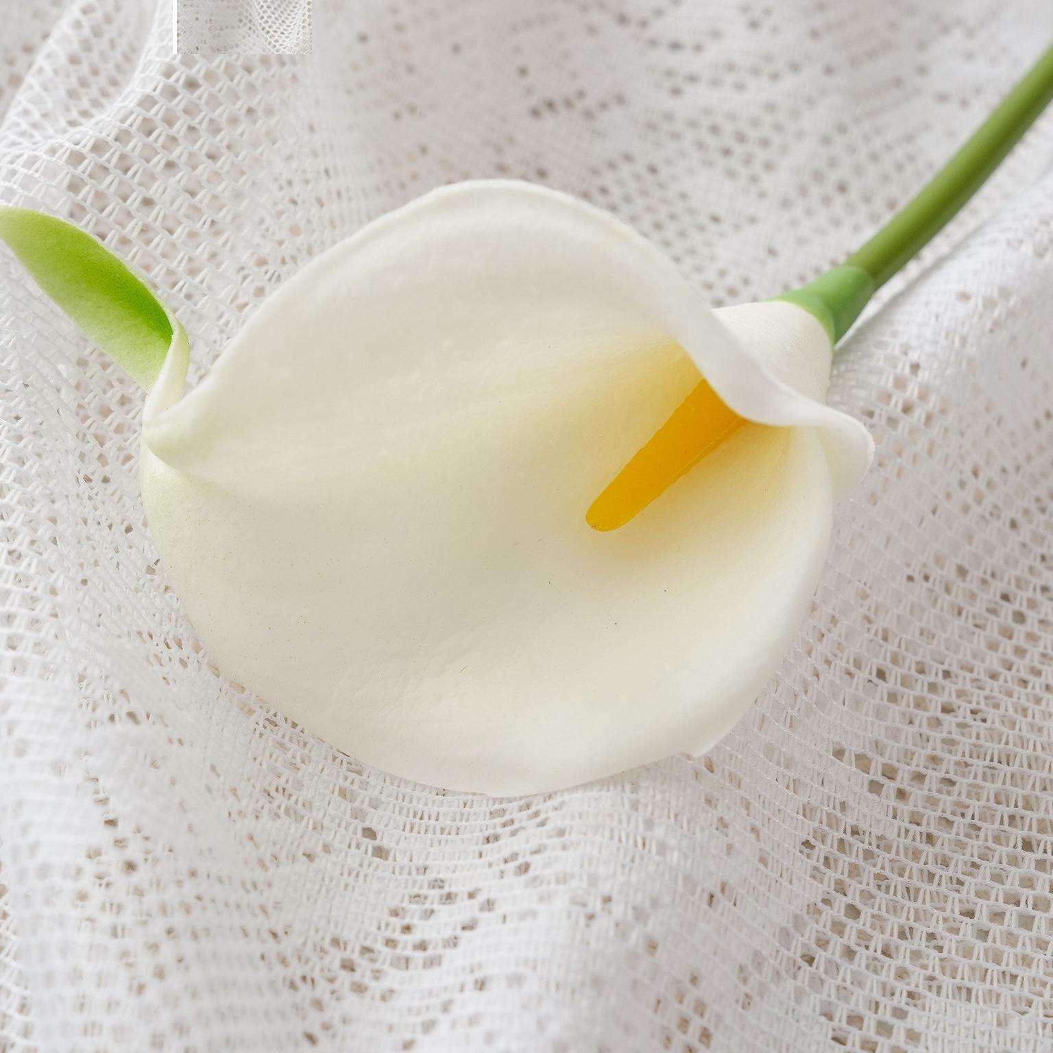 Pistil jaune, pointe blanche et verte