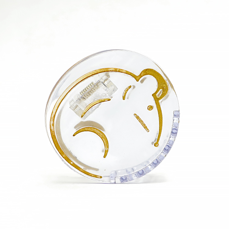 Zodiac 11