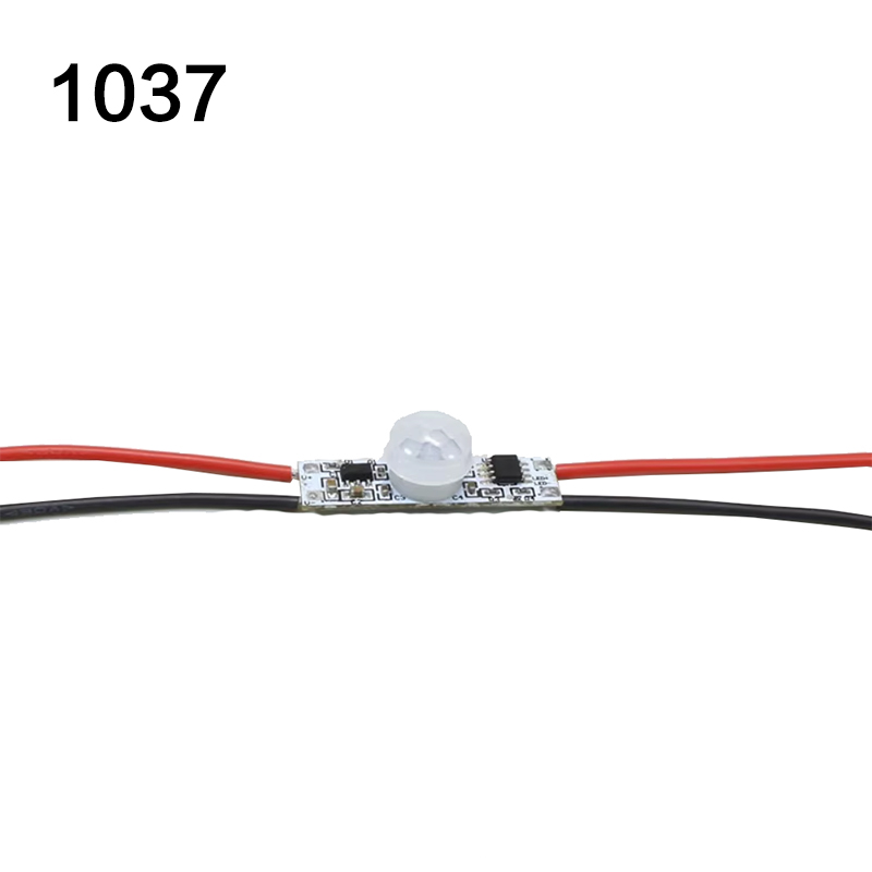 1037 all day wir