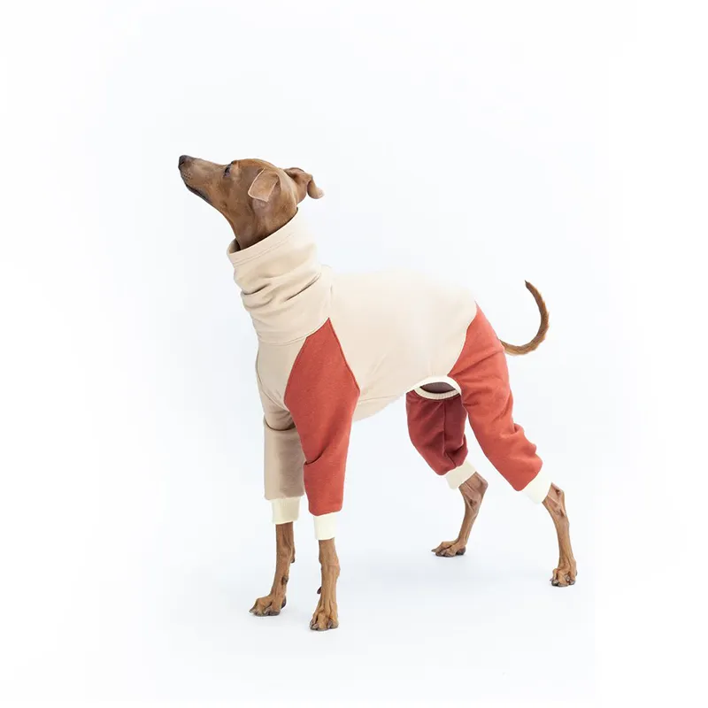 Köpek giysileri dört bacak polyester erkek köpek pet malzemeleri yüksek yaka lüks tasarımcısı köpek giyim