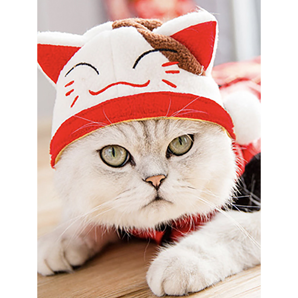 Luckcat b05304 (Inglés)