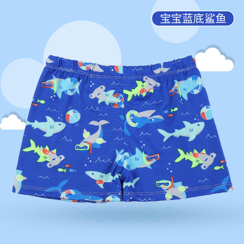 Requin mignon avec fond bleu royal - 45