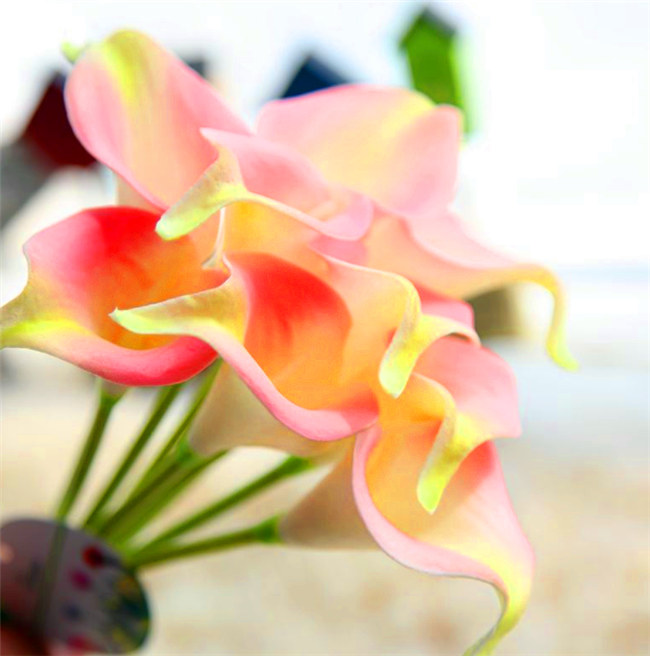 rose 2