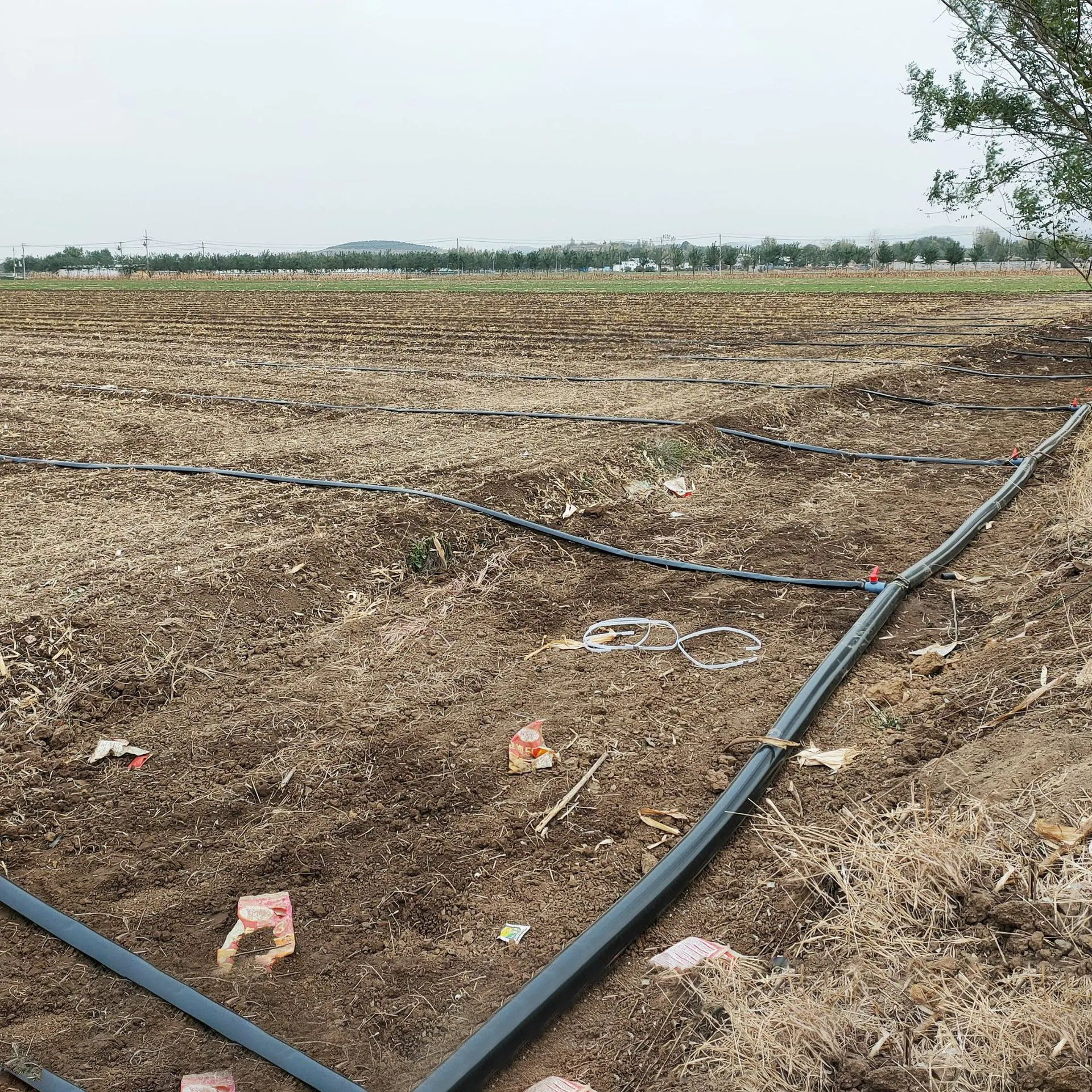 Orticultura agricoltura sistemi di irrigazione a goccia utilizzati per serra irrigazione azienda agricola sistema di irrigazione