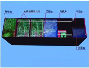 Casを治療するためのBacillusSubtilis 68038-70-0廃水再利用処理された廃水システムUf Ro - Product Image 2