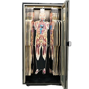DIGIHUMAN 3D Printing Model of HD Slice 3D Printed <strong>Human</strong> Body Teaching Specimen <strong>Human</strong> Tomographic Model - Product Image 2