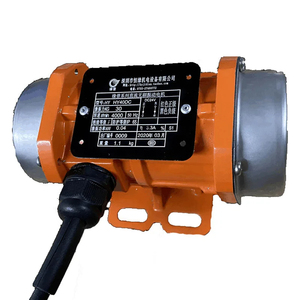 Motore di vibrazione Brushless motore di vibrazione 12V 24V 15W-50W DC motore vibrante per camion miscelatore - Product Image 2