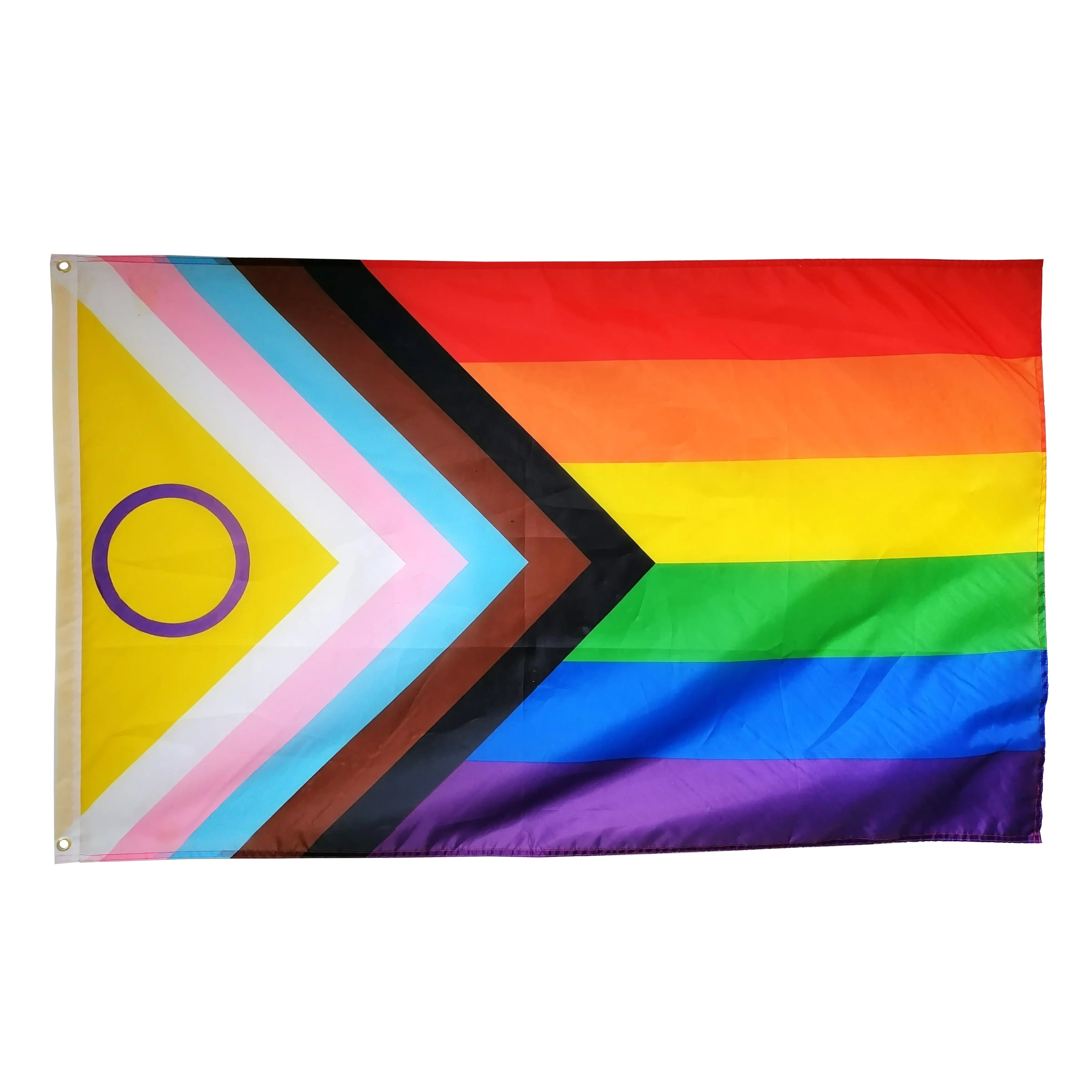 Externo lgbtq orgulho íris orgulho novo poliéster 5 'x 3' intersexo-progresso gay bandeira de orgulho