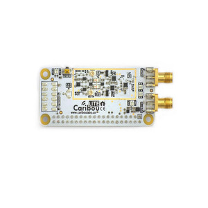 CARIBOULITE-ISM-01 программируемый инструмент разработки логики IC