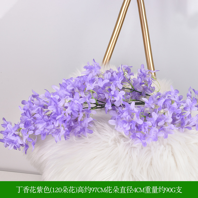 Lilas fleur pourpre
