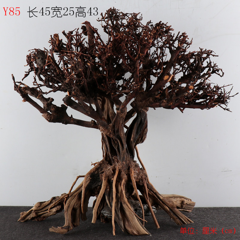 Y85