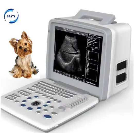 Los animales usan bajo costo Escáner de ultrasonido portátil de 12 pulgadas Instrumentos de ultrasonido médico Echograph Doppler