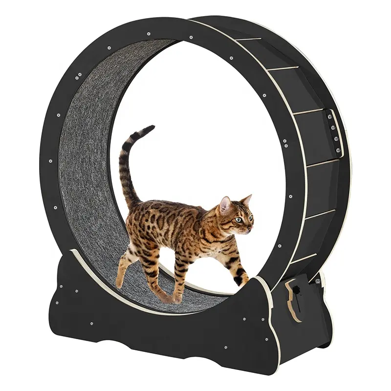 BunnyHi PBJ070, juguetes de lujo para gatos de alta calidad, pista circular, rueda de ejercicio para gatos de interior, correr, caminar y entrenar