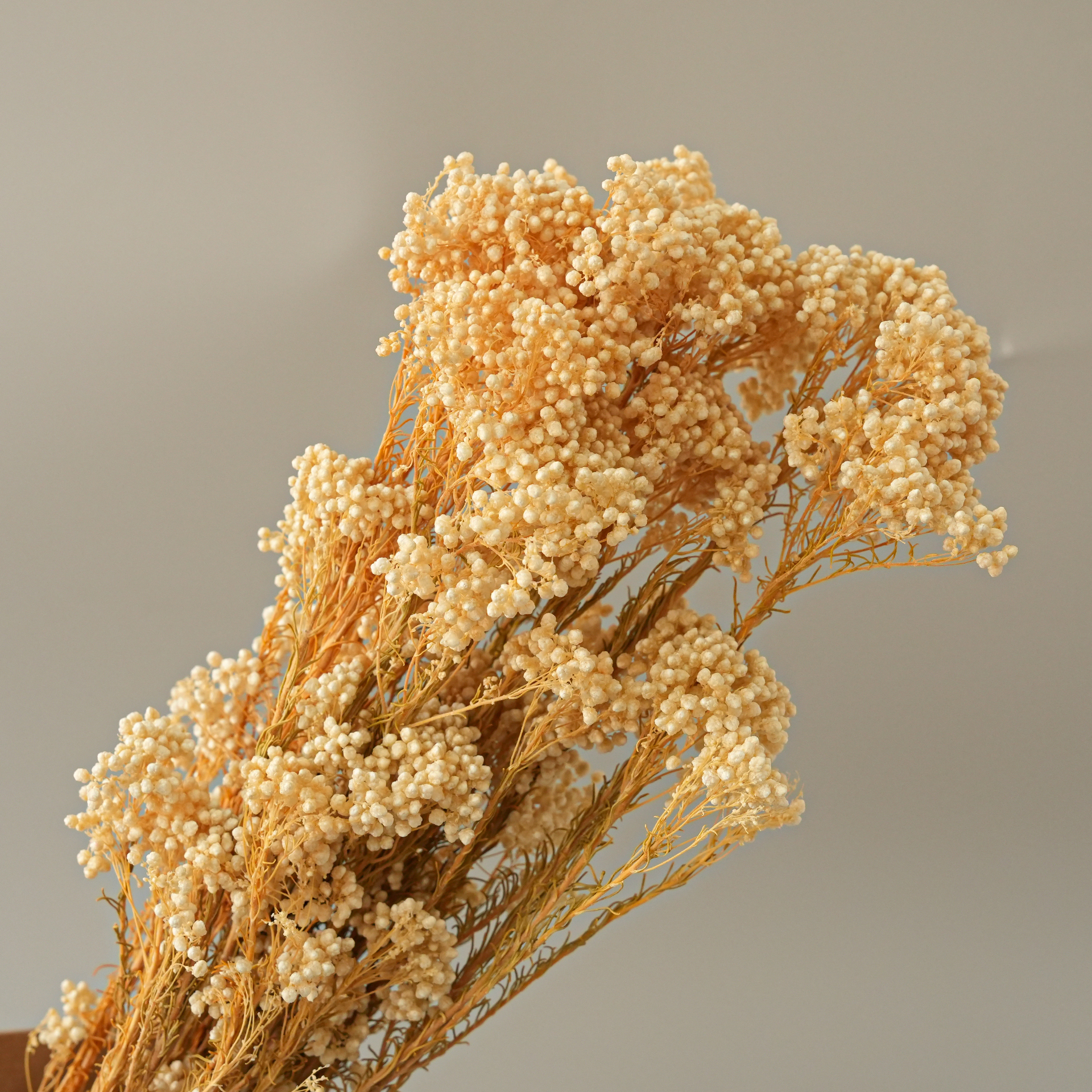 Beige-85g