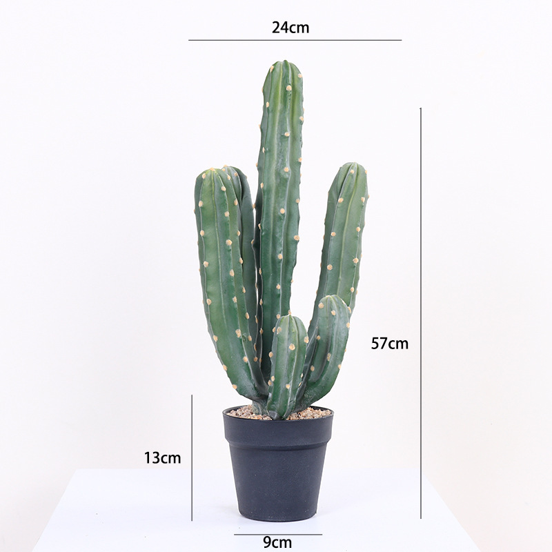 57cm
