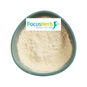 Focusherb astragalus bổ sung hữu cơ astragalus gốc bột - Product Image 2