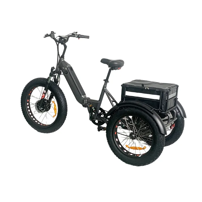 Thiết Kế Mới Của Điện Trike Chất Béo Lốp 3 Bánh Xe Ba Bánh Điện Ba Bánh Xe Dành Cho Người Lớn Hàng Hóa Xe Đạp Điện