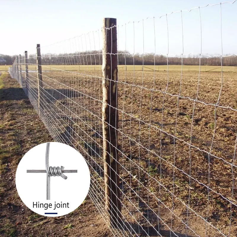 Sampel gratis dengan mudah dirakit galvanis kawat jala pagar pertanian pagar lapangan kambing ternak domba untuk pertanian