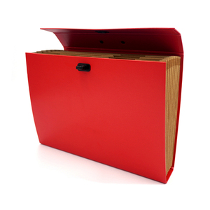 Gran oferta, organizador de documentos de papel de alta calidad de fábrica, caja de carpetas de archivos de acordeón en expansión con asa, logotipo personalizado - Product Image 2