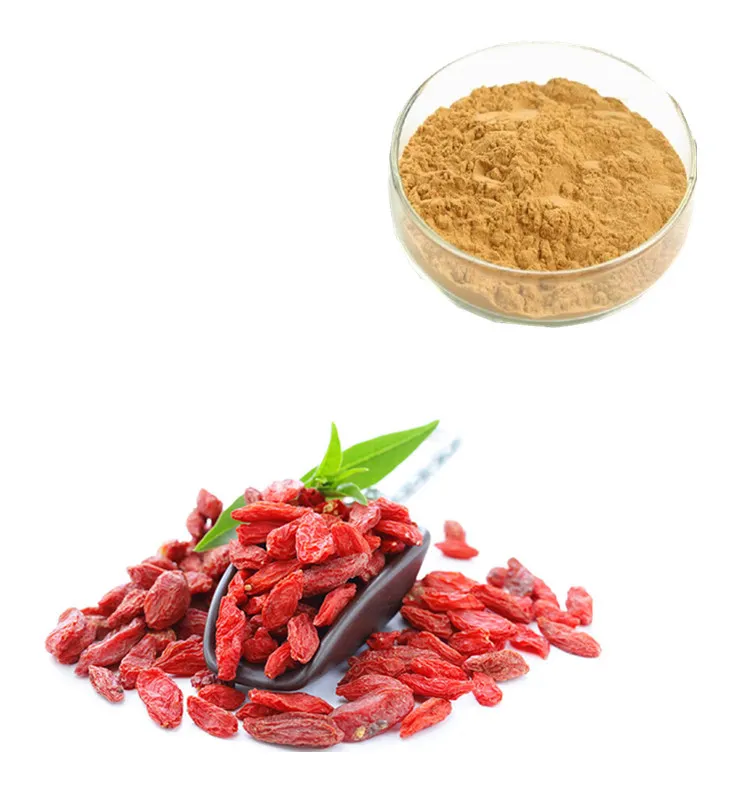 Bubuk Ekstrak Barbarum Lycium Cina Tradisional 10% Polysaccharide Berry Goji Bubuk Anthocyanidin 25% 30%