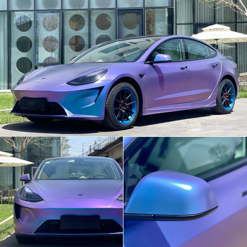 Caméléon mat violet bleu