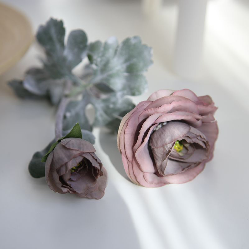 Pourpre