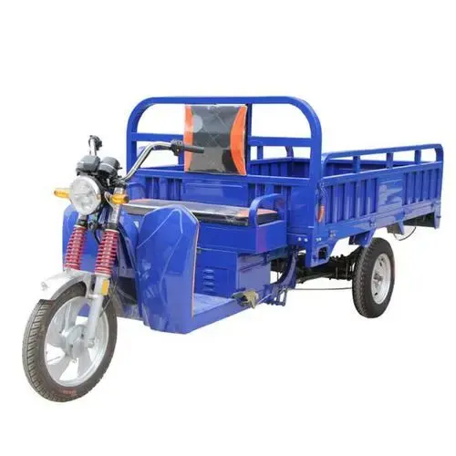 Certificato auto elettrica triciclo famiglia adulti Cargo 1000w pedale merci 3 ruote triciclo elettrico