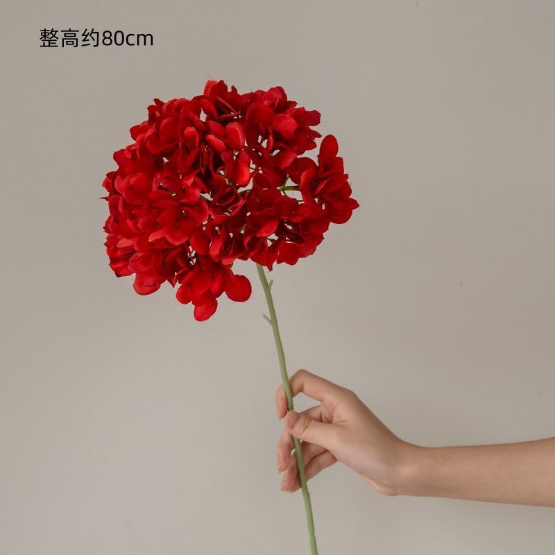 Branche unique d'hortensia rouge
