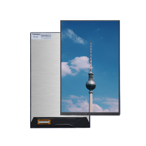 Schneller Service 800*1280 LCD-Panel Inter phone MIPI DSI-Schnitts telle LCD-Display 10,1-Zoll-IPS-TFT-Bildschirm - Product Image 4