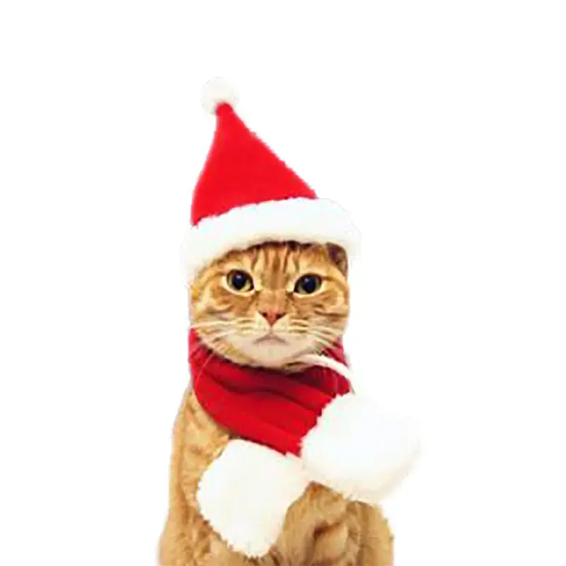 Nuovo venditore natale capodanno vestiti per animali domestici cappello da babbo natale con collo a sciarpa Set mantello per copricapo per animali domestici