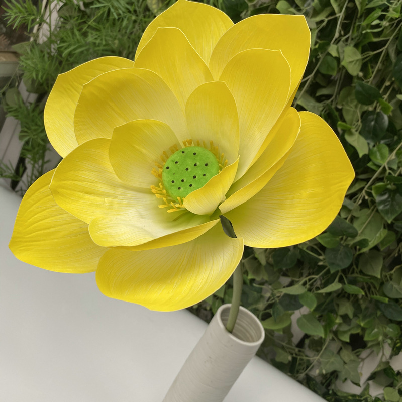 3# Large flowers-pale yellow