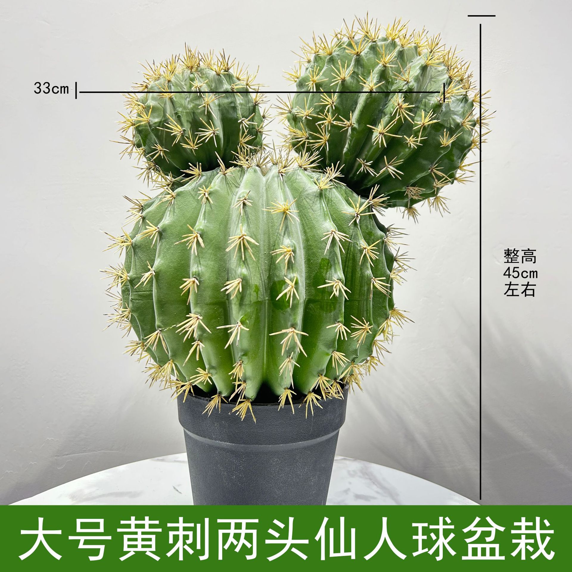 Cactus grande de brazos amarillos en maceta.