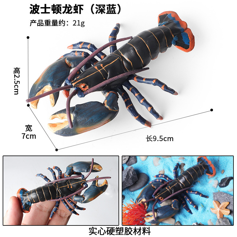 colorato M-3182 Boston Lobster blu