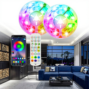 Комплект светодиодной ленты Tcwin 12 В RGB с 30LED 60LED IP20 IP65 5 м 10 м ИК 24 клавиши пульт дистанционного управления музыкальный контроллер медный корпус - Product Image 2
