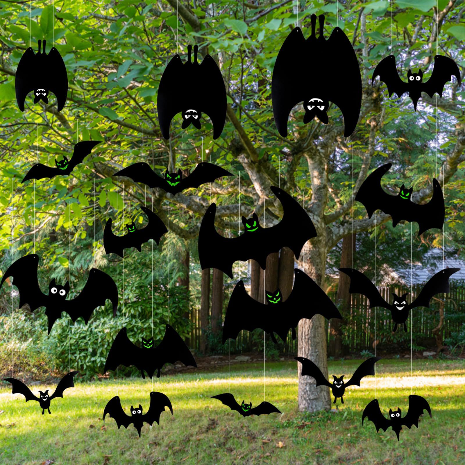 chauve-souris