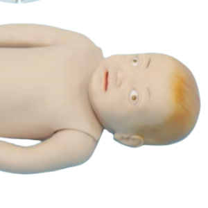 ADA medical science Advanced baby amamentando modelos (usados para pediatria e OB/GYN) e Parenteral Alimentation Nursing Model - Product Image 4