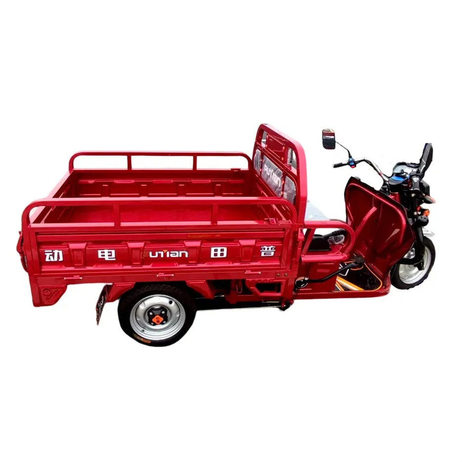Fabbrica Tailg Swing svezia saldatura ad arco sommerso di buona qualità Pickup trasporto triciclo per carico Pedicab elettrico