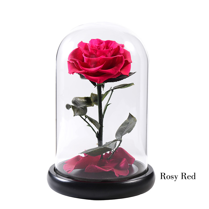 04 rosy red
