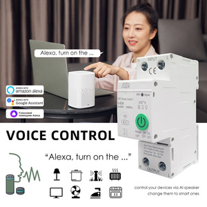 LEDEAST OOC Tuya WiFi Smart <strong>Circuit</strong> <strong>Breaker</strong> 2P 63A Timer Power Energy kWh Voltage <strong>Current</strong> Meter Protector Voice Switch - Product Image 4
