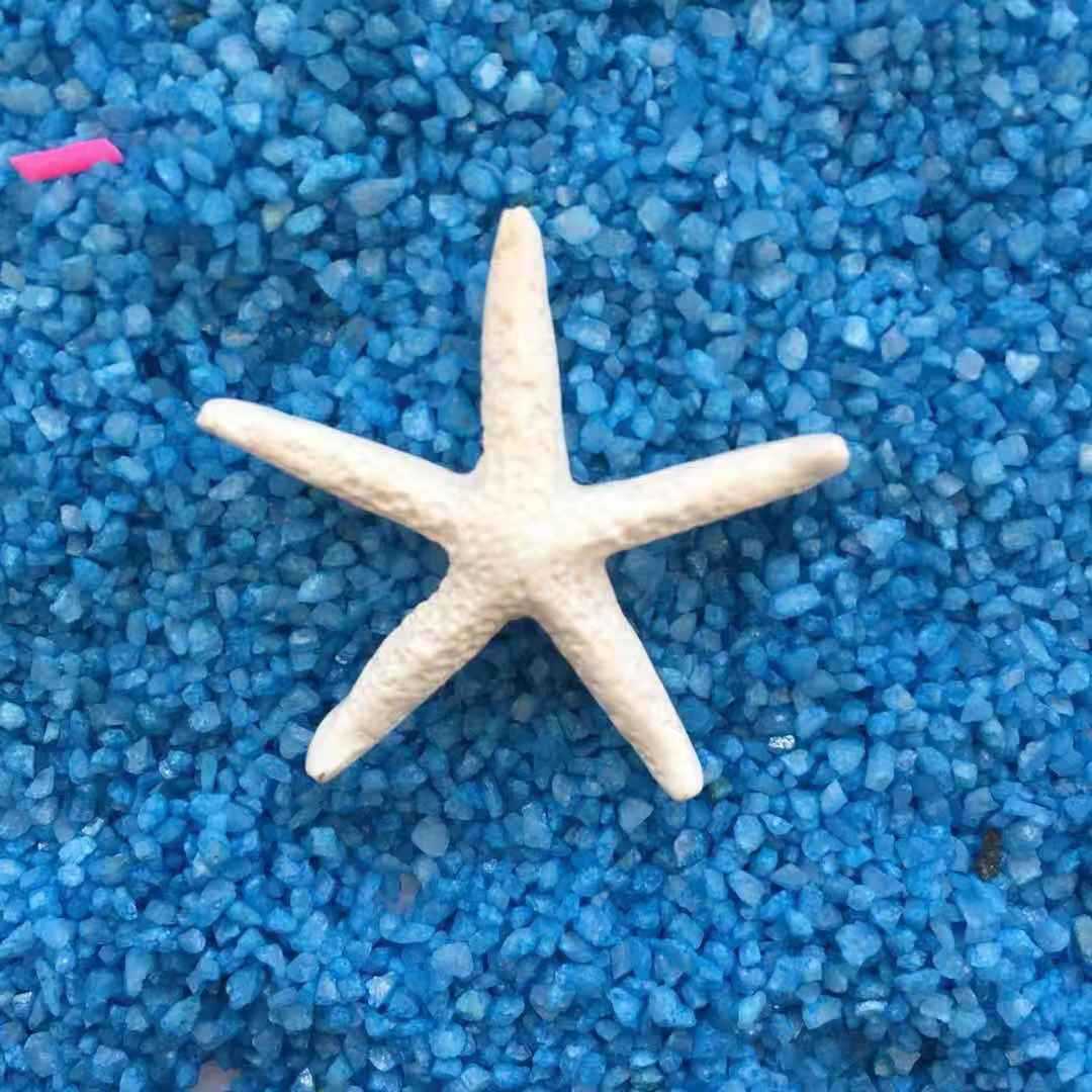 Stella marina da 3,5 cm