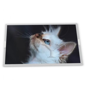 さまざまなアプリケーション向けの新しい14.0インチWLED LCDディスプレイモジュールN140HCA-EAE - Product Image 1