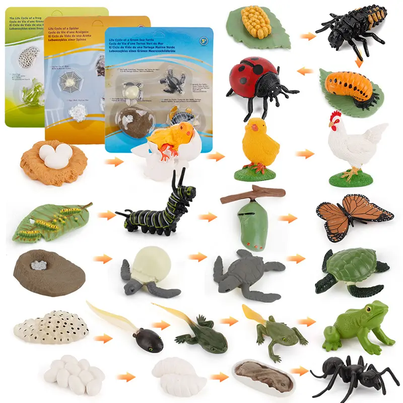 Моделирование процесса производства животных муравьиная черепаха, паук петух, множественный цикл роста, блистерная упаковка