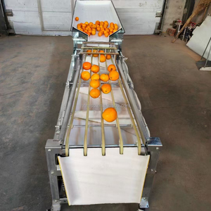 Buena eficiencia, manzana, guayaba, aguacate, cítricos, máquina clasificadora, kumquat, cereza, clasificación orbital, máquina clasificadora - Product Image 5