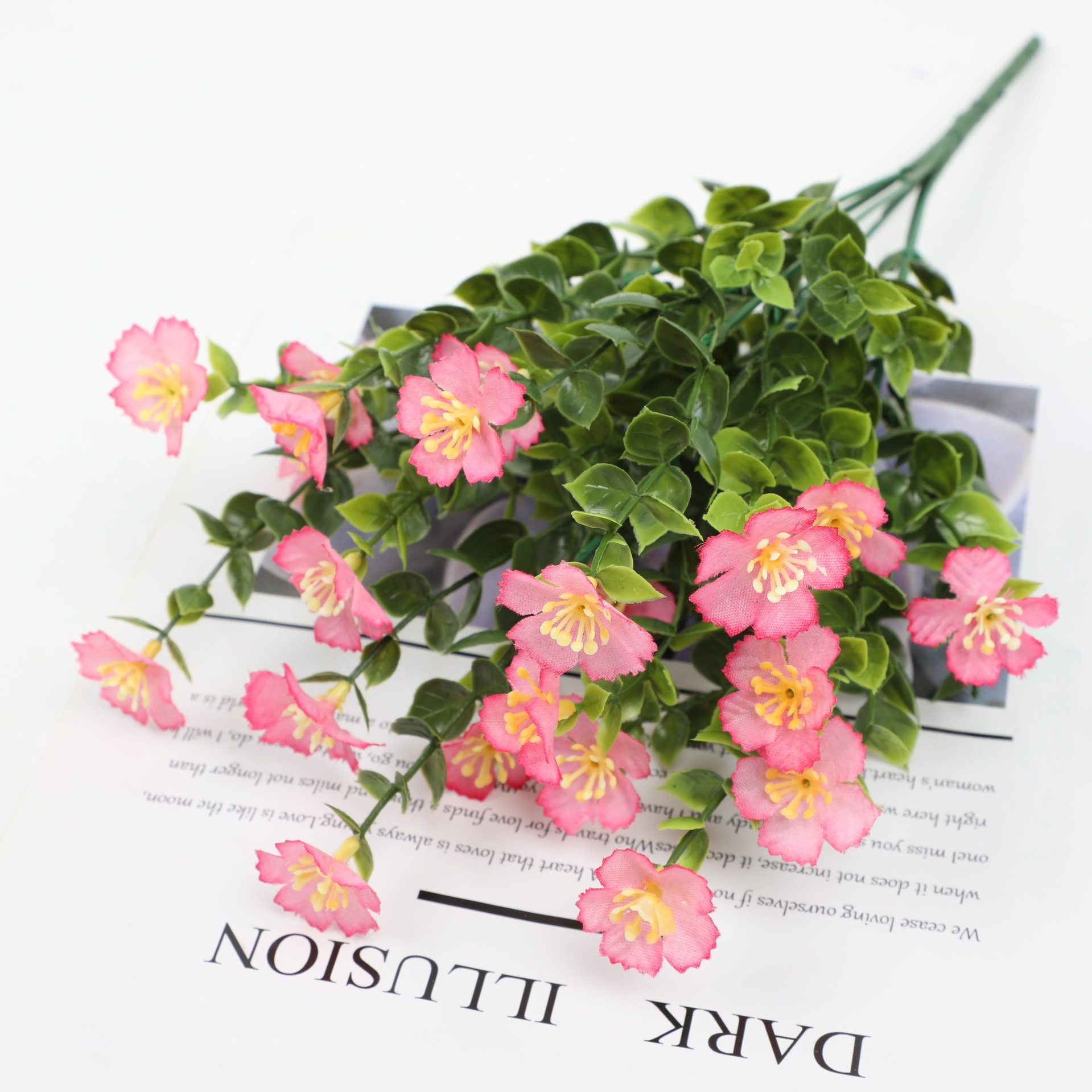 rosa 1